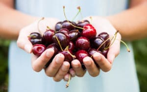 Cherries, Gout and Uric Acid