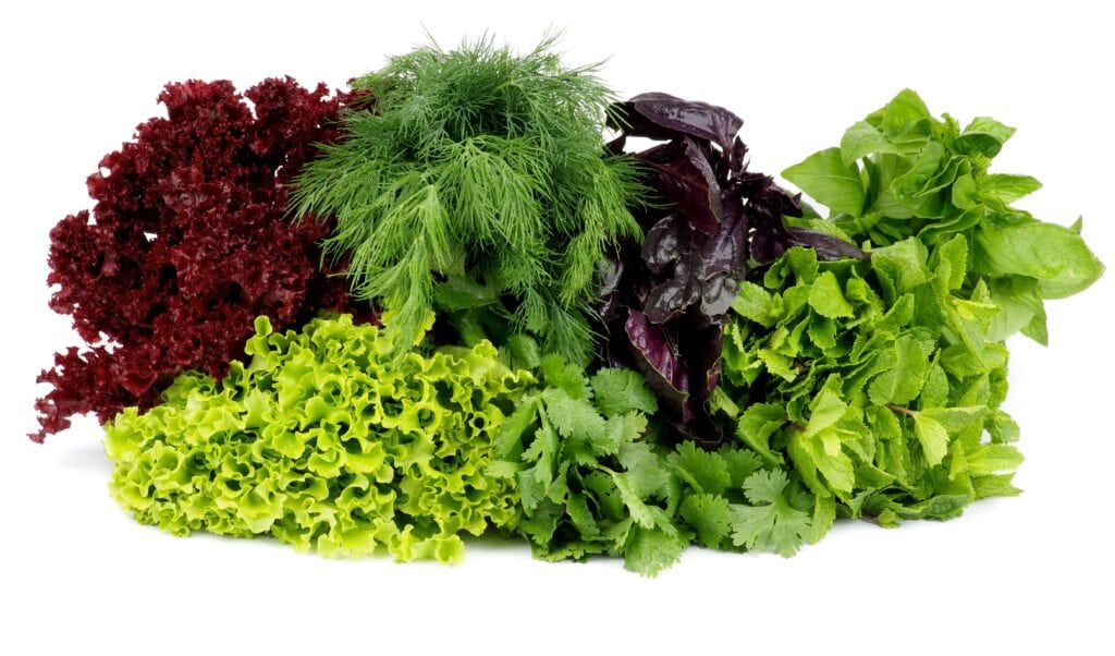 Gout and Leafy Greens