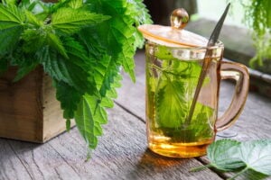 Nettle leaf as a gout remedy.